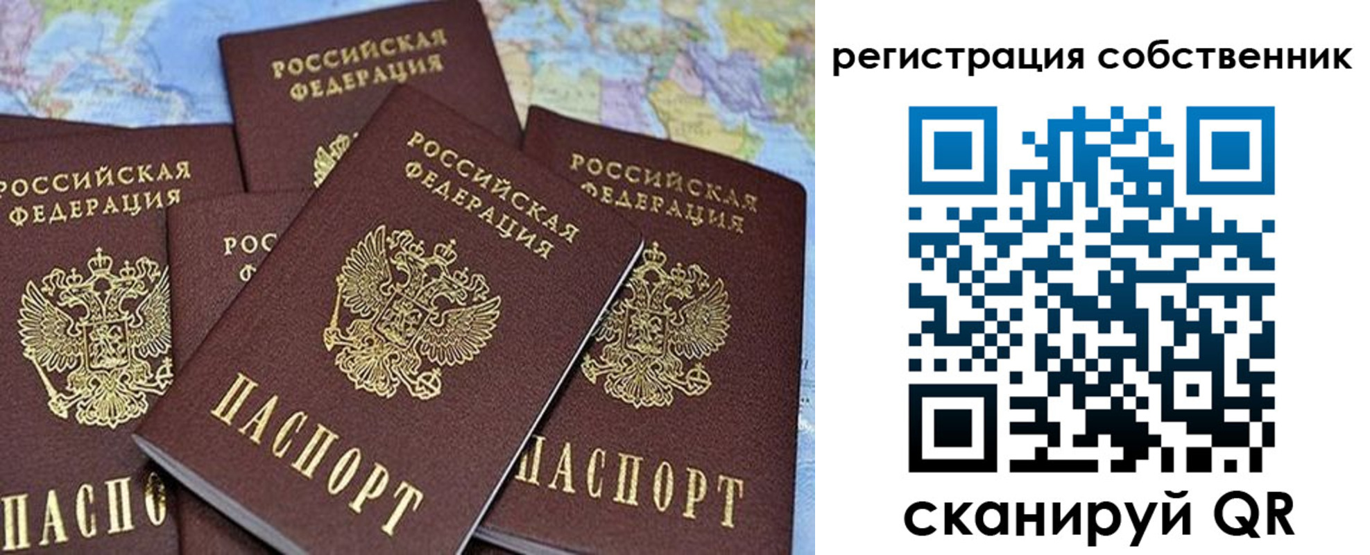 прописка для школы в Шлиссельбурге