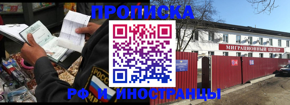 прописка поиск в Шлиссельбурге